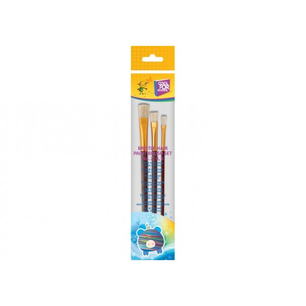 Набор кистей, 3 шт щетина 2,4,6, плоская, CoolForSchool CF60825