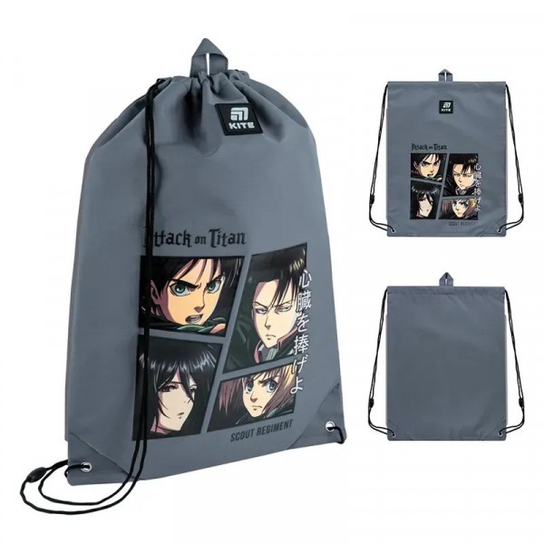 Сумка для обуви Kite 600L AT AT25-600L