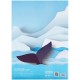 Набор белого картона А4 10 л Kite K24-1254