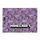 Альбом для рисования А4 12 л скоба с перфорацией 100 г/м2 Minecraft girls Ассорти дев 130598