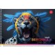 Альбом для рисования А4 20 л спираль 100г/м2 STAR Ассорти уни PB-SC-020-8536