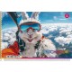 Альбом для рисования А4 20 л спираль 100г/м2 STAR Ассорти уни PB-SC-020-8536