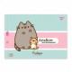Альбом для рисования А4 20 л скоба с перфорацией 100 г/м2 Pusheen Ассорти дев 130589