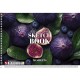 Альбом для рисования А4 30 л спираль 120г/м2 УФ лак Ассорти уни PB-SC-030-8042