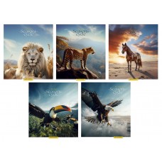 Тетрадь 60 л линия УФ лак 3403 Seasons 2025 уни 060-3403L